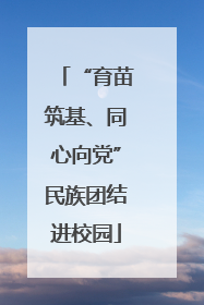 “育苗筑基、同心向党”民族团结进校园