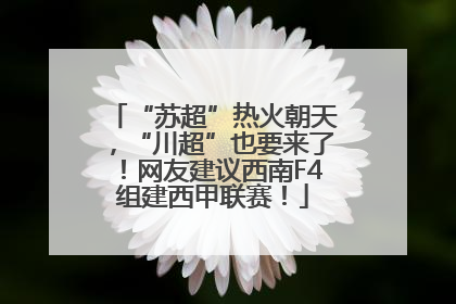 “苏超”热火朝天，“川超”也要来了！网友建议西南F4组建西甲联赛！
