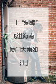 “蝴蝶”飞进海南 厦门大雨如注