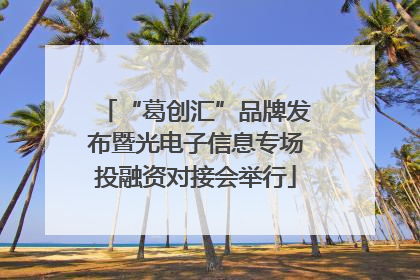 “葛创汇”品牌发布暨光电子信息专场投融资对接会举行