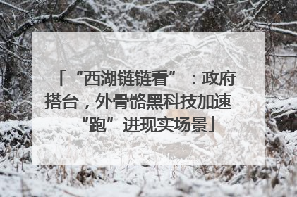 “西湖链链看”：政府搭台，外骨骼黑科技加速“跑”进现实场景