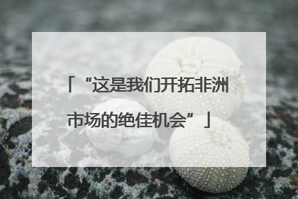 “这是我们开拓非洲市场的绝佳机会”