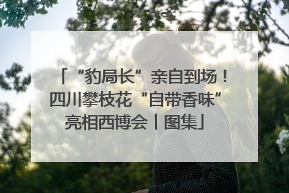 “豹局长”亲自到场！四川攀枝花“自带香味”亮相西博会丨图集
