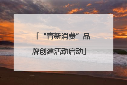 “青新消费”品牌创建活动启动