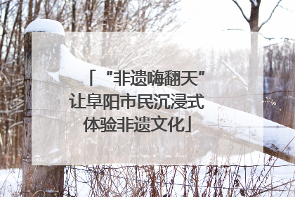 “非遗嗨翻天”让阜阳市民沉浸式体验非遗文化