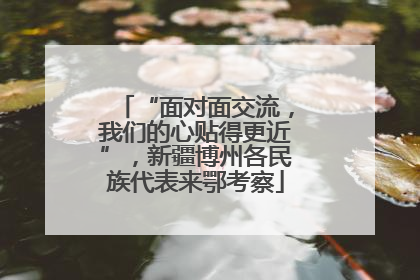 “面对面交流，我们的心贴得更近”，新疆博州各民族代表来鄂考察