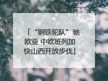 “钢铁驼队”驰欧亚 中欧班列加快山西开放步伐