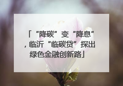 “降碳”变“降息”，临沂“临碳贷”探出绿色金融创新路
