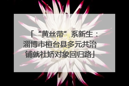 “黄丝带”系新生：淄博市桓台县多元共治铺就社矫对象回归路
