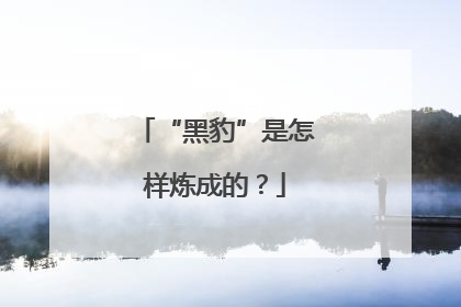 “黑豹”是怎样炼成的？
