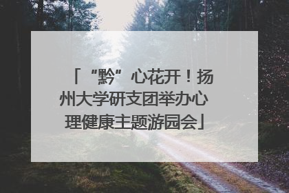 “黔”心花开！扬州大学研支团举办心理健康主题游园会