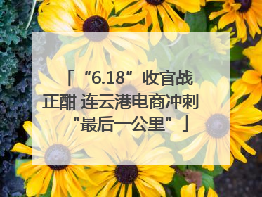 “6.18”收官战正酣 连云港电商冲刺“最后一公里”