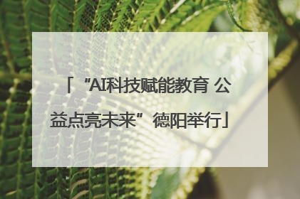 “AI科技赋能教育 公益点亮未来”德阳举行