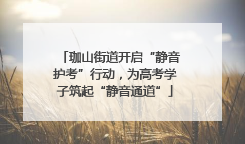 珈山街道开启“静音护考”行动，为高考学子筑起“静音通道”
