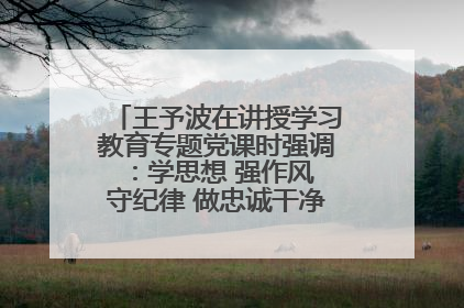 王予波在讲授学习教育专题党课时强调：学思想 强作风 守纪律 做忠诚干净担当的共产党员