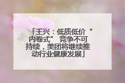 王兴：低质低价“内卷式” 竞争不可持续，美团将继续推动行业健康发展