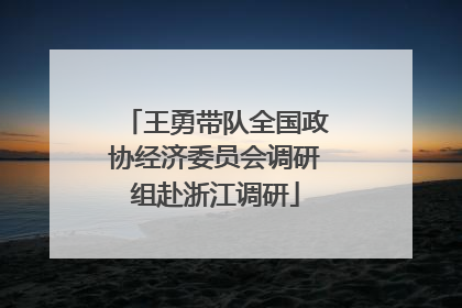 王勇带队全国政协经济委员会调研组赴浙江调研
