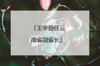 王学勤任云南省副省长