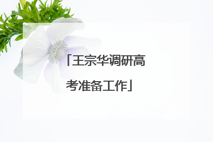 王宗华调研高考准备工作