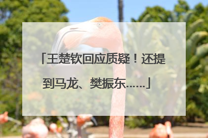 王楚钦回应质疑！还提到马龙、樊振东……