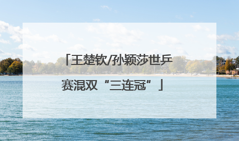 王楚钦/孙颖莎世乒赛混双“三连冠”