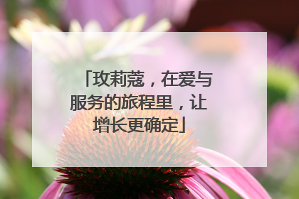 玫莉蔻，在爱与服务的旅程里，让增长更确定