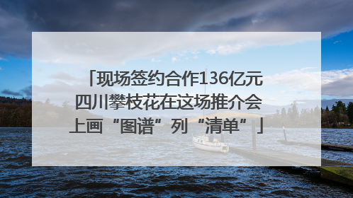 现场签约合作136亿元 四川攀枝花在这场推介会上画“图谱”列“清单”