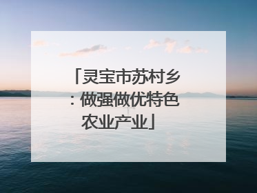 灵宝市苏村乡：做强做优特色农业产业