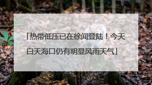 热带低压已在徐闻登陆！今天白天海口仍有明显风雨天气