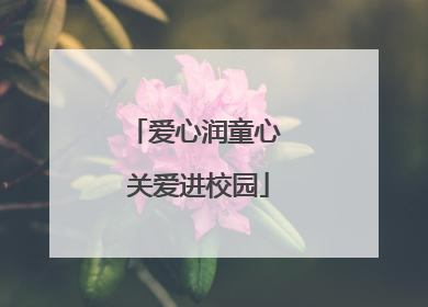 爱心润童心 关爱进校园