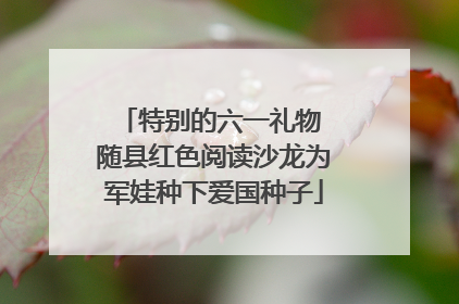 特别的六一礼物 随县红色阅读沙龙为军娃种下爱国种子