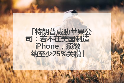 特朗普威胁苹果公司：若不在美国制造iPhone，须缴纳至少25%关税