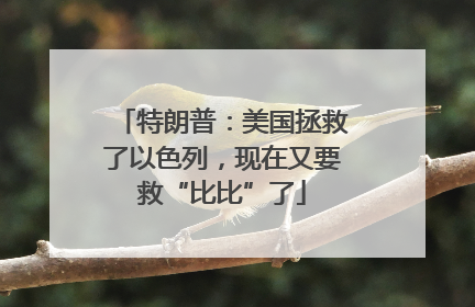 特朗普：美国拯救了以色列，现在又要救“比比”了