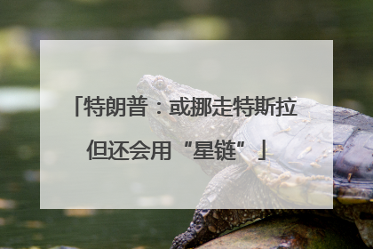 特朗普：或挪走特斯拉 但还会用“星链”