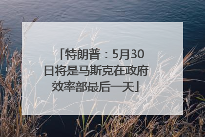 特朗普：5月30日将是马斯克在政府效率部最后一天