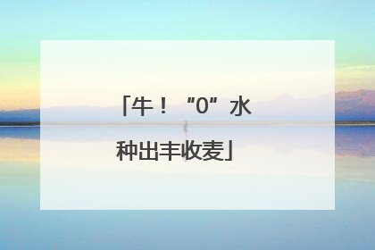 牛！“0”水种出丰收麦