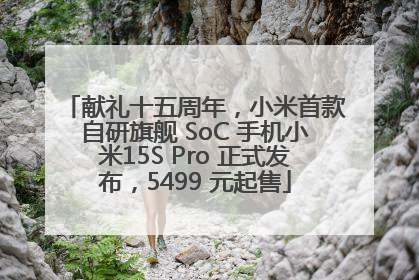 献礼十五周年，小米首款自研旗舰 SoC 手机小米15S Pro 正式发布，5499 元起售