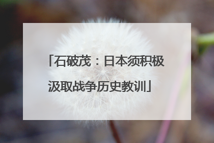 石破茂：日本须积极汲取战争历史教训