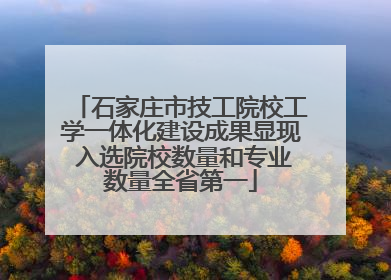 石家庄市技工院校工学一体化建设成果显现 入选院校数量和专业数量全省第一