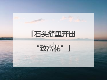 石头缝里开出“致富花”