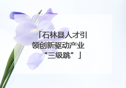 石林县人才引领创新驱动产业“三级跳”