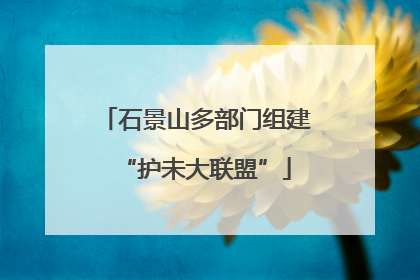 石景山多部门组建“护未大联盟”