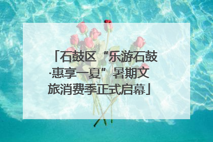 石鼓区“乐游石鼓·惠享一夏”暑期文旅消费季正式启幕