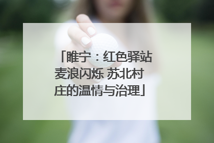 睢宁：红色驿站麦浪闪烁 苏北村庄的温情与治理