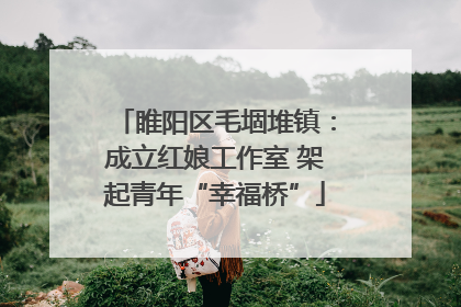 睢阳区毛堌堆镇：成立红娘工作室 架起青年“幸福桥”