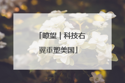瞭望｜科技右翼重塑美国
