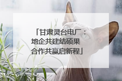 甘肃灵台电厂：地企共建结硕果 合作共赢启新程