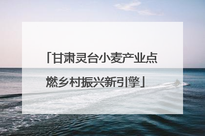 甘肃灵台小麦产业点燃乡村振兴新引擎