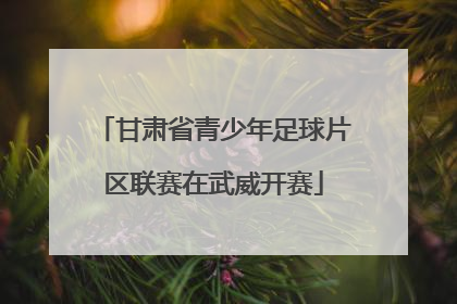 甘肃省青少年足球片区联赛在武威开赛