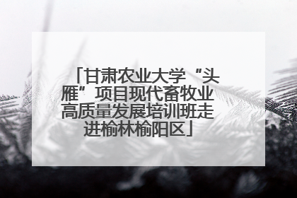 甘肃农业大学“头雁”项目现代畜牧业高质量发展培训班走进榆林榆阳区